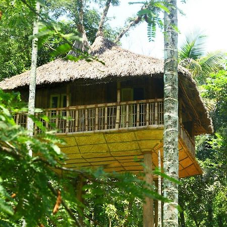 Kalidasa Tree House And Villa, Wayanad Chegāt Exterior foto