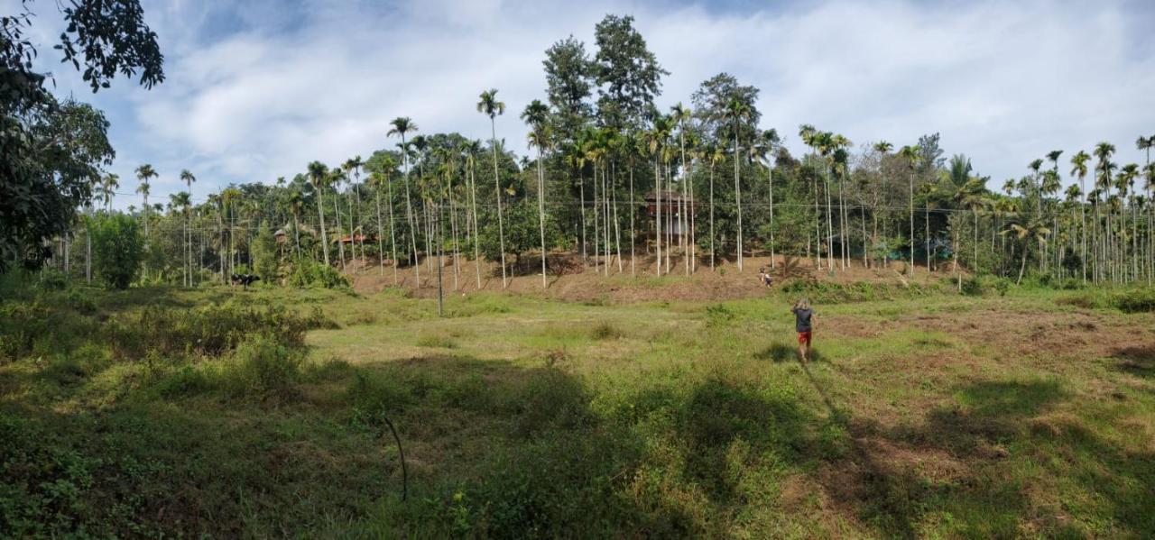 Kalidasa Tree House And Villa, Wayanad Chegāt Exterior foto