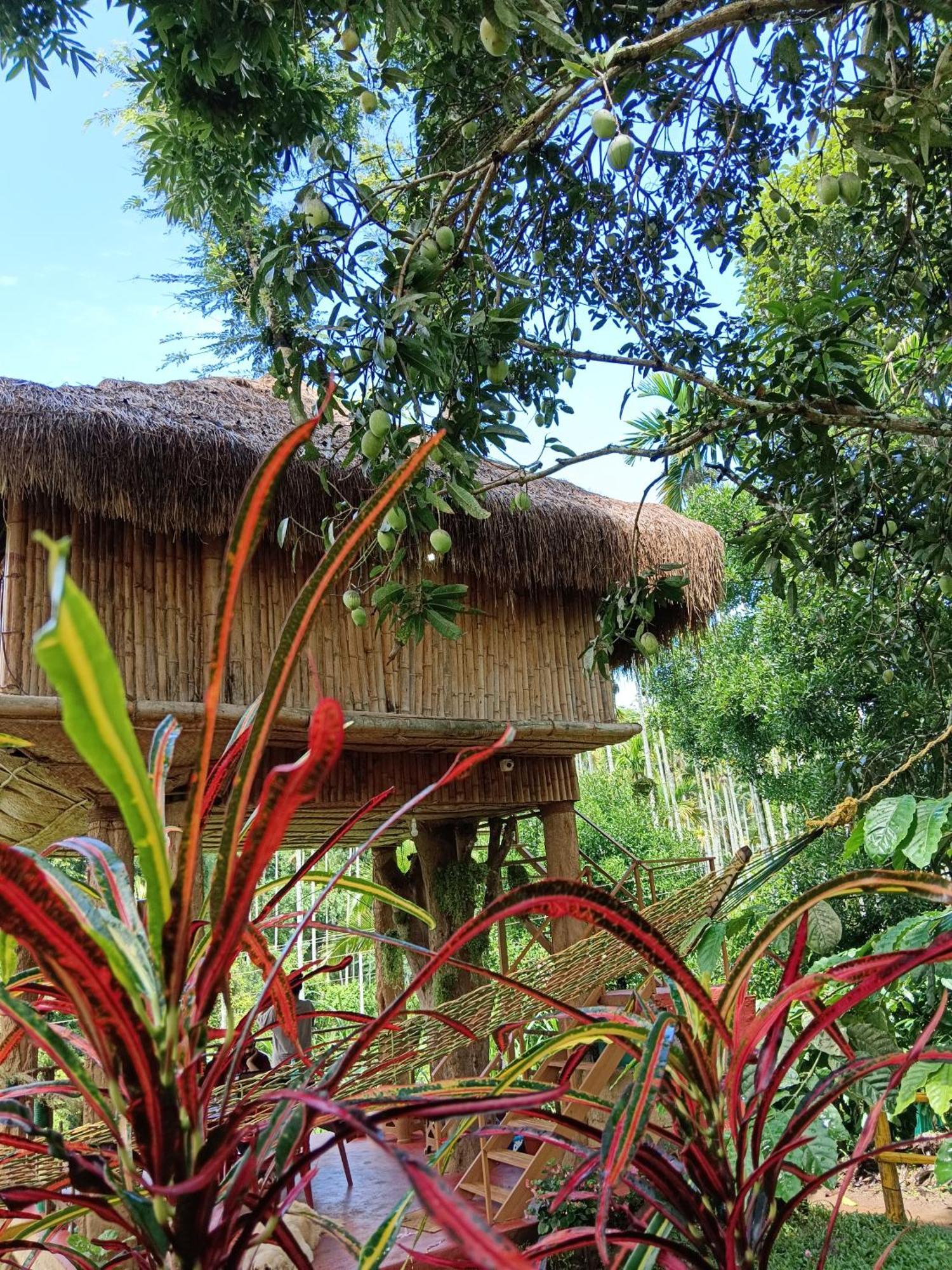 Kalidasa Tree House And Villa, Wayanad Chegāt Exterior foto