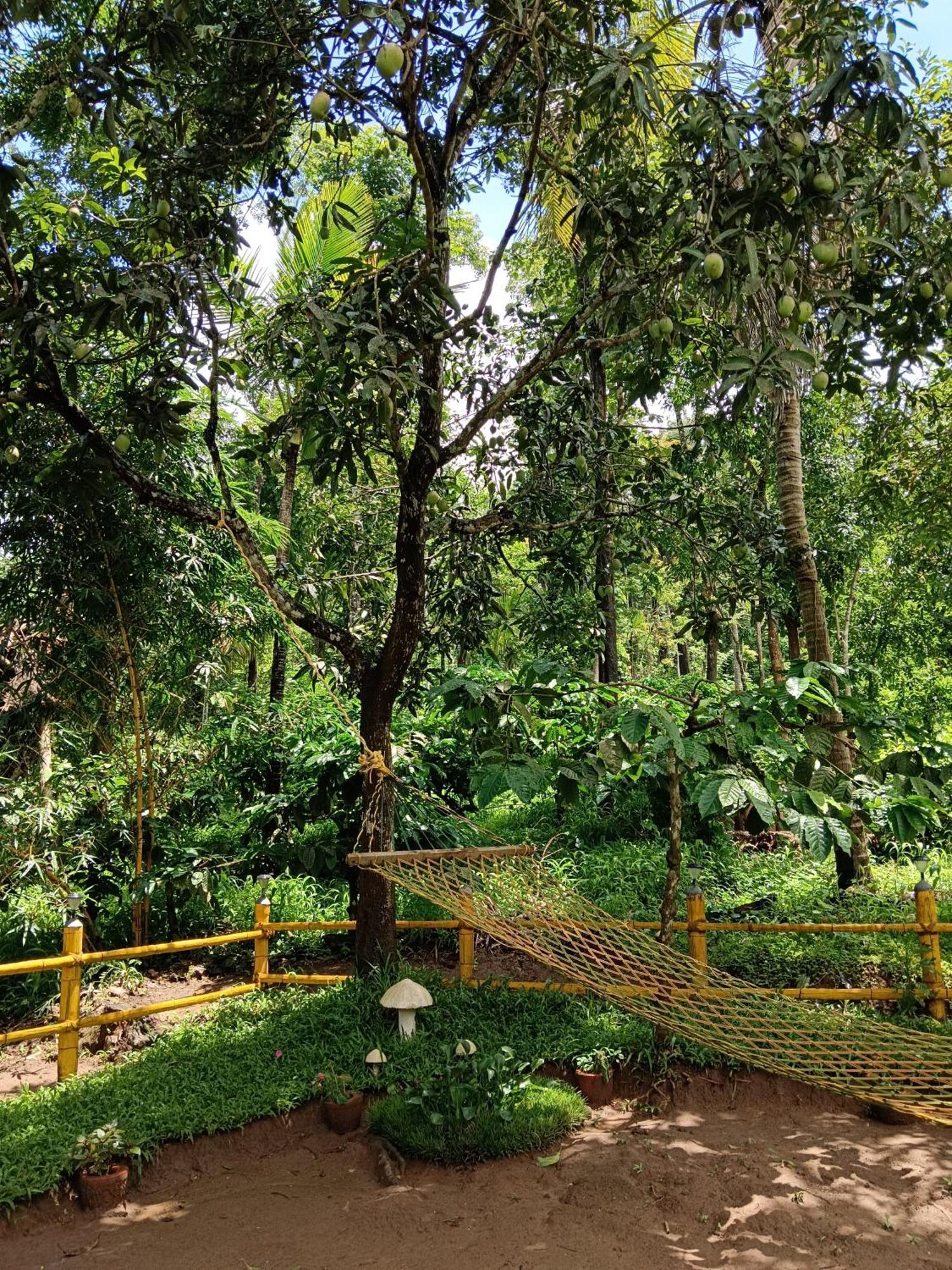 Kalidasa Tree House And Villa, Wayanad Chegāt Exterior foto