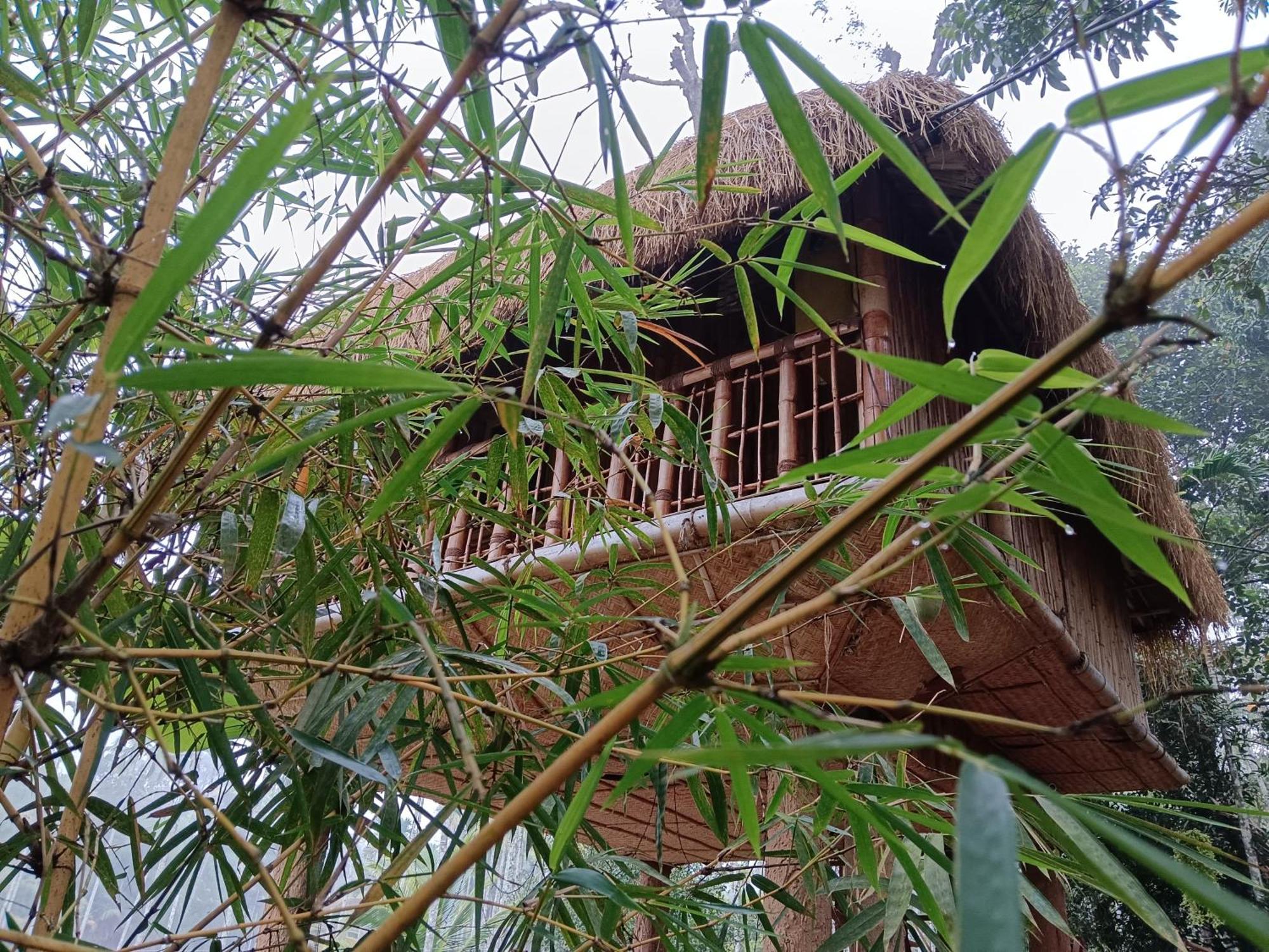 Kalidasa Tree House And Villa, Wayanad Chegāt Quarto foto