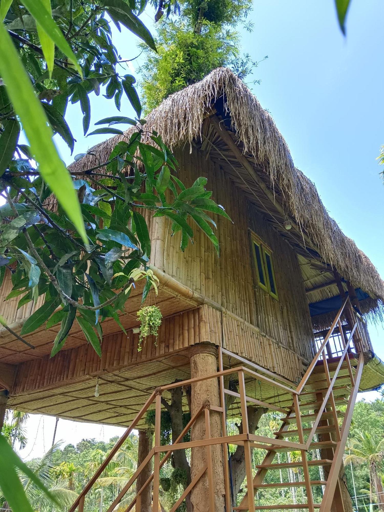 Kalidasa Tree House And Villa, Wayanad Chegāt Quarto foto