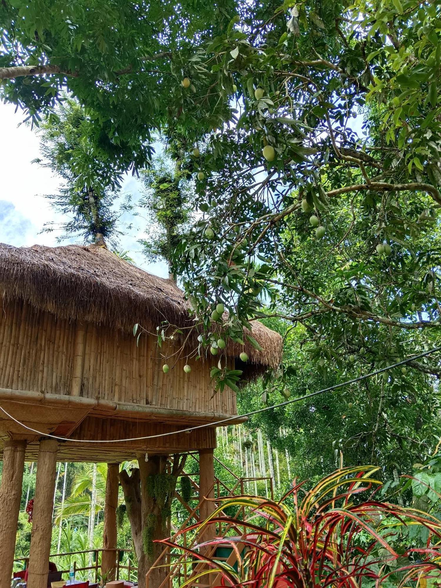 Kalidasa Tree House And Villa, Wayanad Chegāt Quarto foto