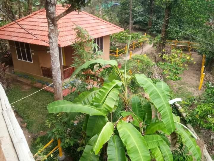 Kalidasa Tree House And Villa, Wayanad Chegāt Quarto foto