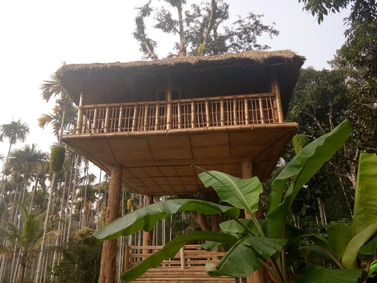 Kalidasa Tree House And Villa, Wayanad Chegāt Exterior foto